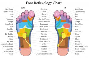 What is a Reflexology Therapy? Different between Reflexology and Full ...